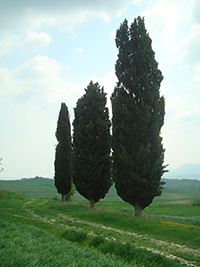 The seven most beautiful hikes in and around Pienza